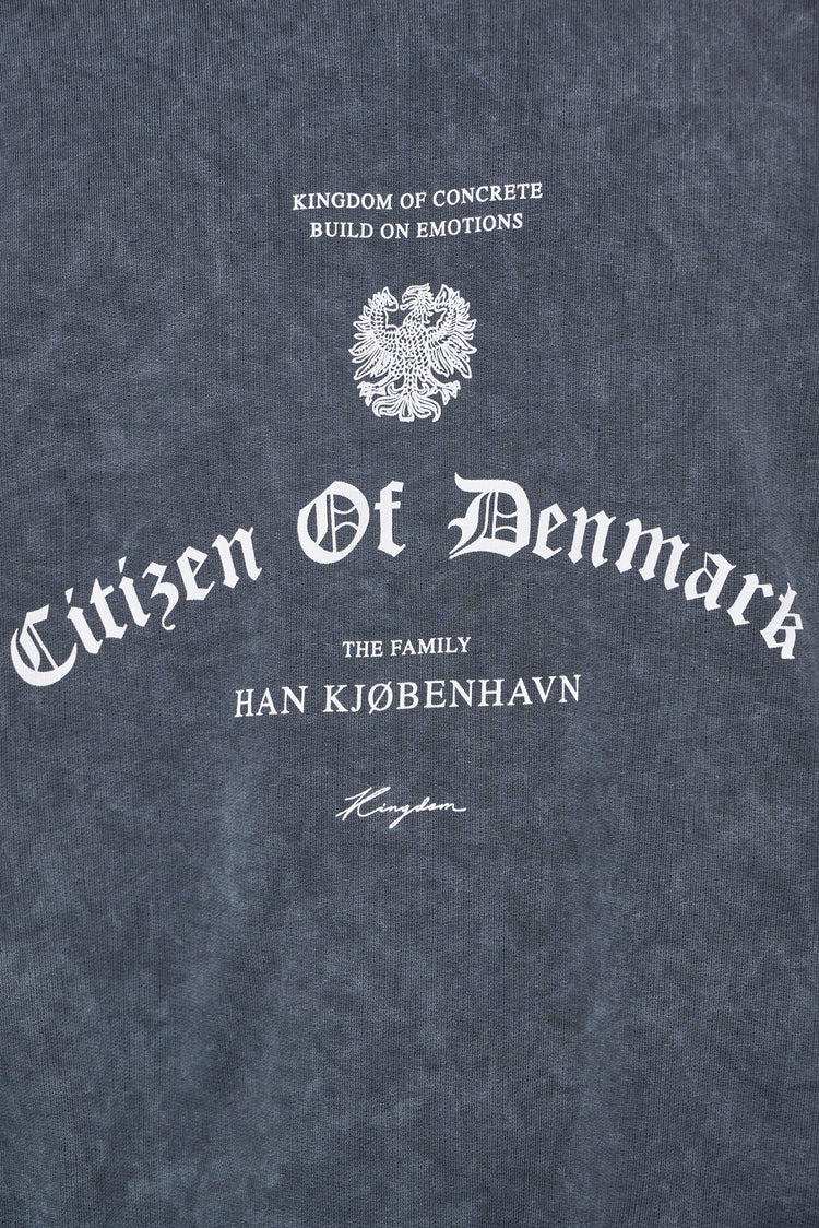 Bluza CITIZEN PRINTED CREWNECK szara