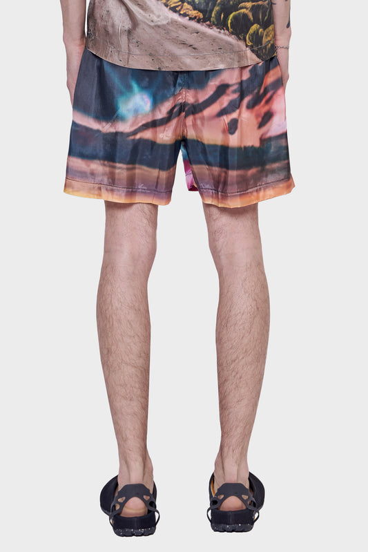 meskie#@Szorty ELASTIC SHORTS multikolorowe