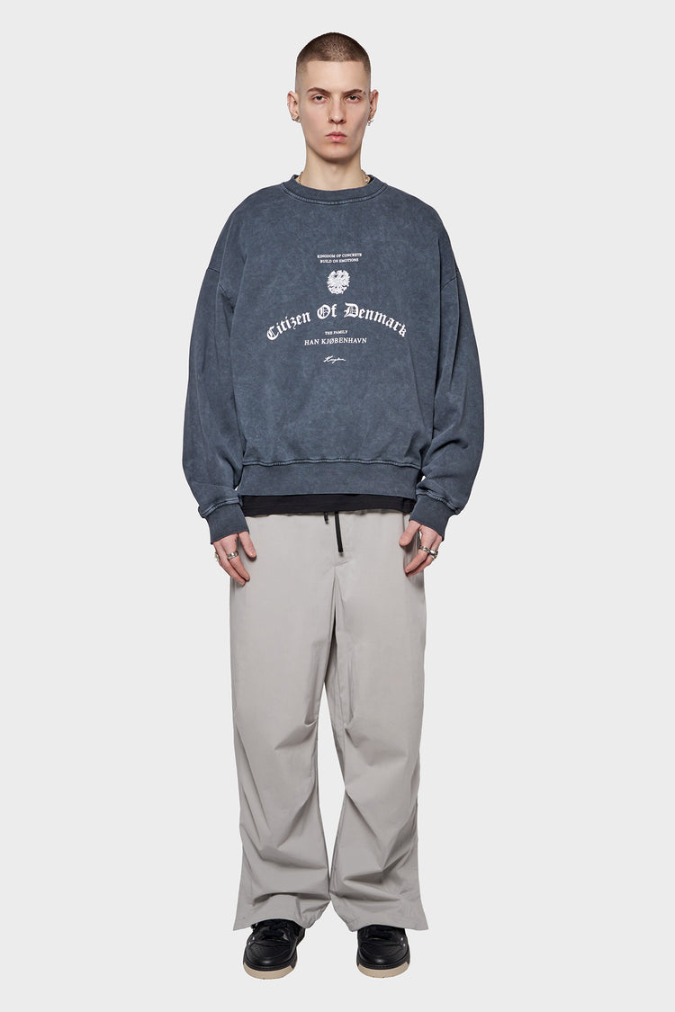 meskie#@Bluza CITIZEN PRINTED CREWNECK szara