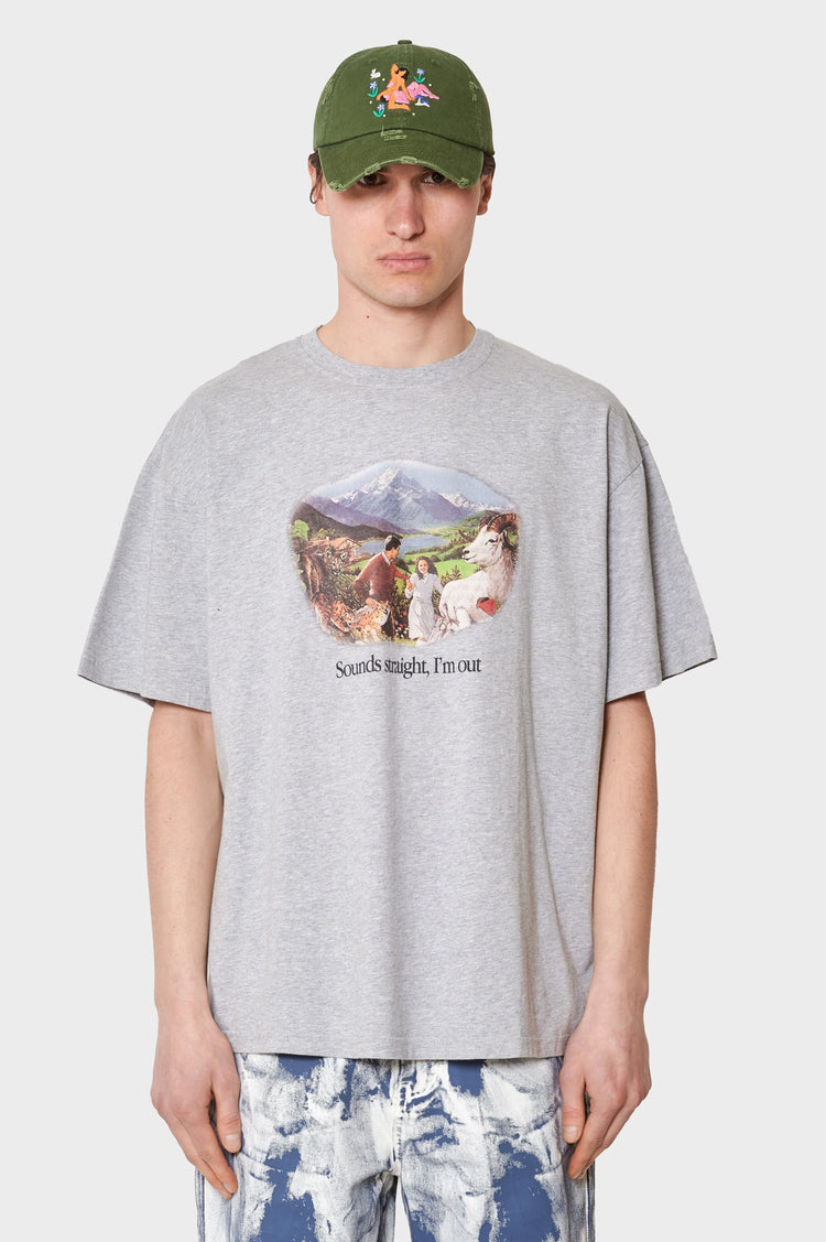 Koszulka Sounds Straight, I'm Out szara