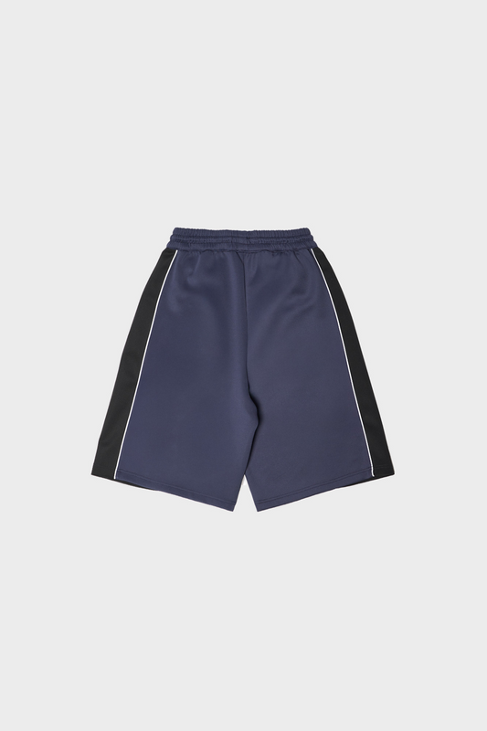 Szorty TECHNICAL LOGO SHORTS szare