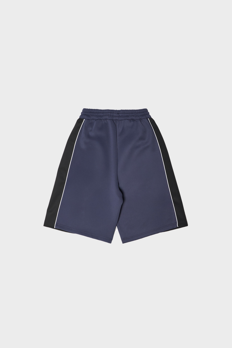 Szorty TECHNICAL LOGO SHORTS szare