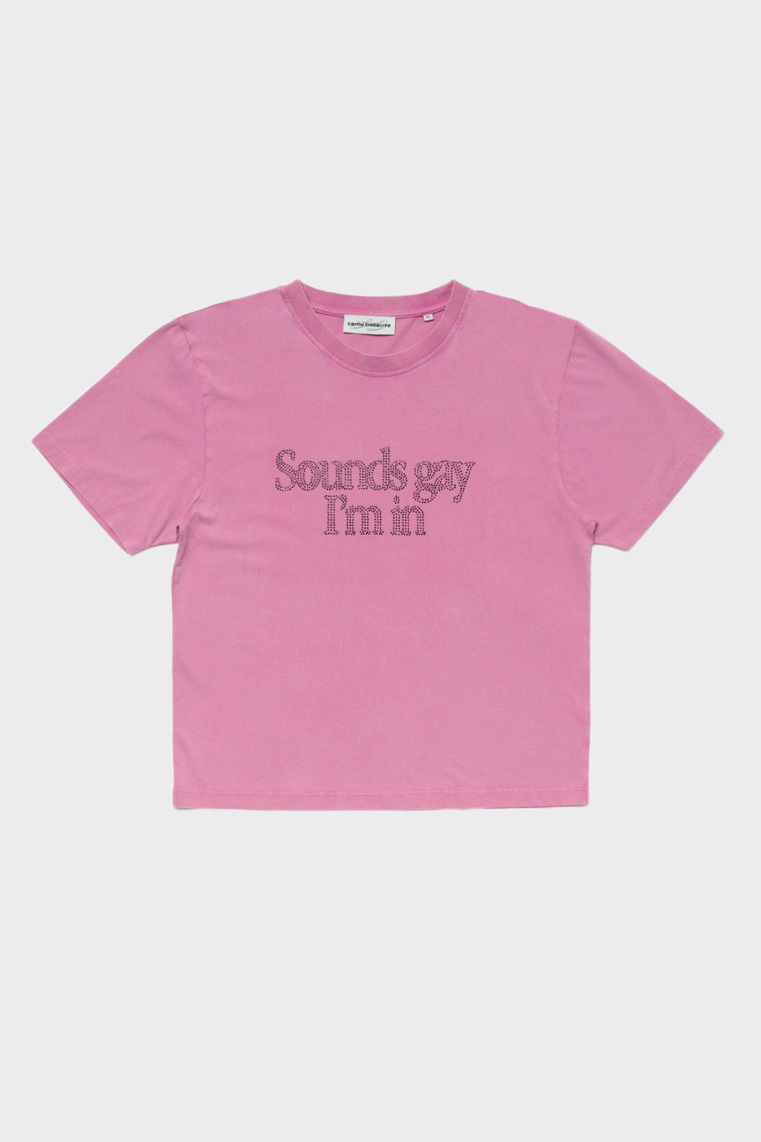 T-shirt Sounds Gay, I'm In Baby! pink 