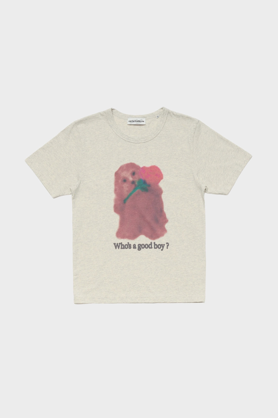 T-shirt Good Boys go to Heaven grey 