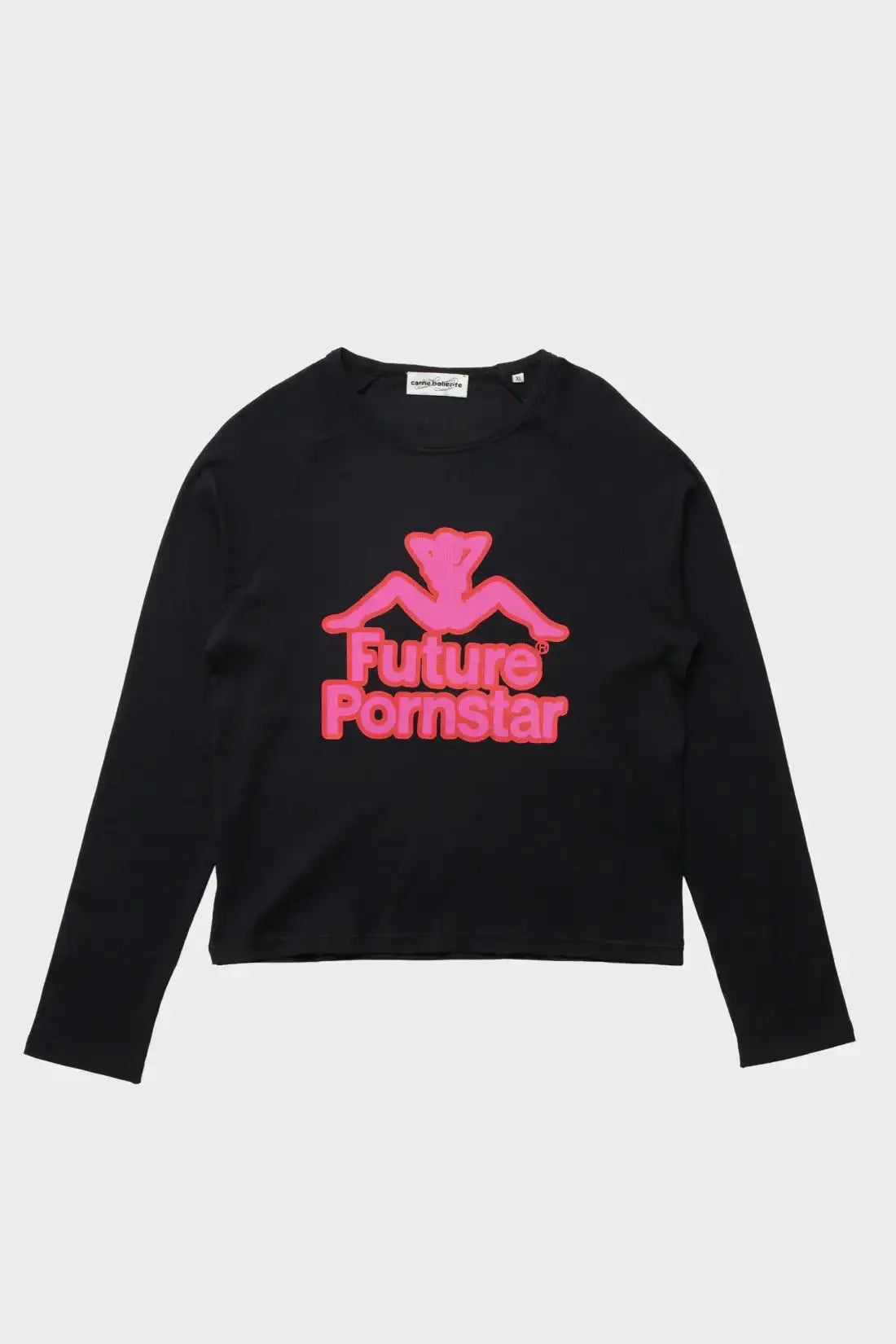 Longsleeve I'm A Professional black