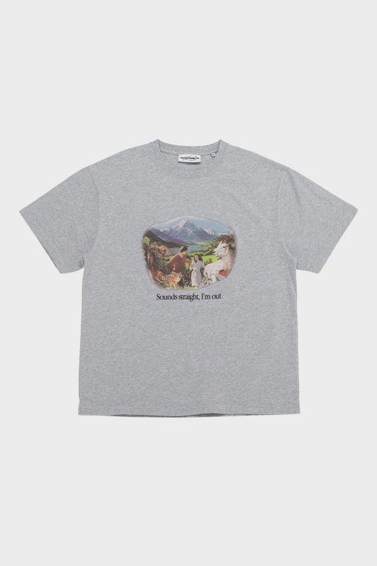 Koszulka Sounds Straight, I'm Out szara